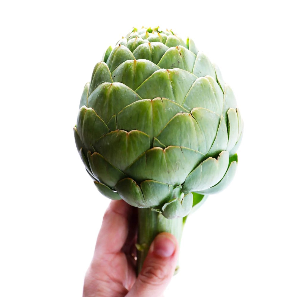 ARTICHOKE