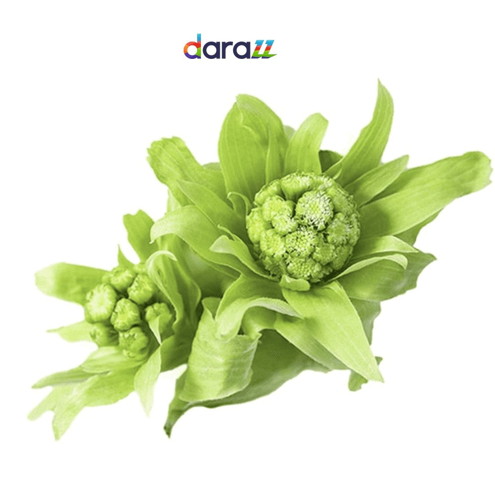 BUTTERBUR