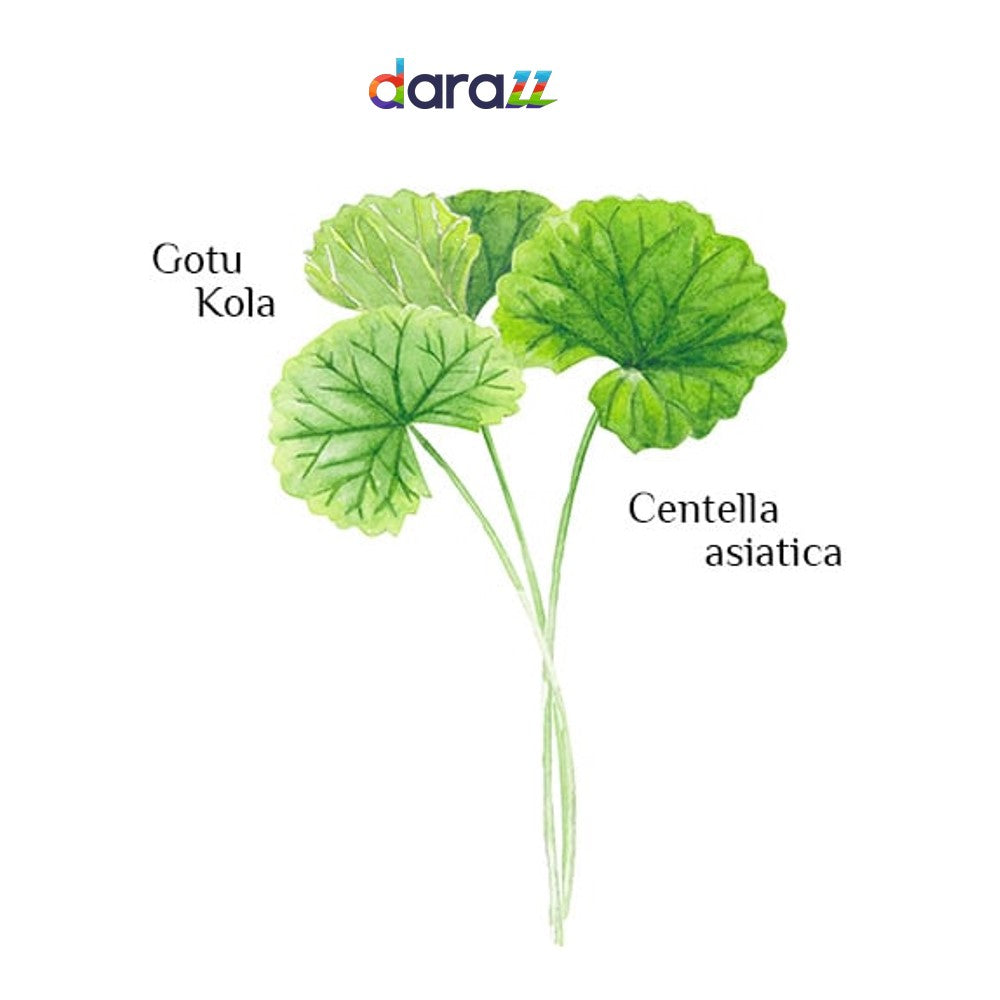 GOTU KOLA