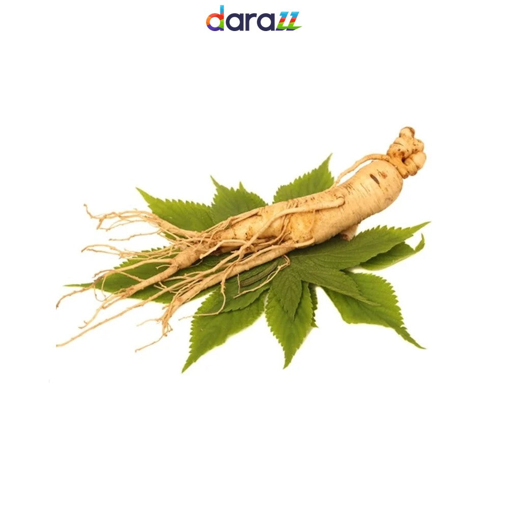 GINSENG