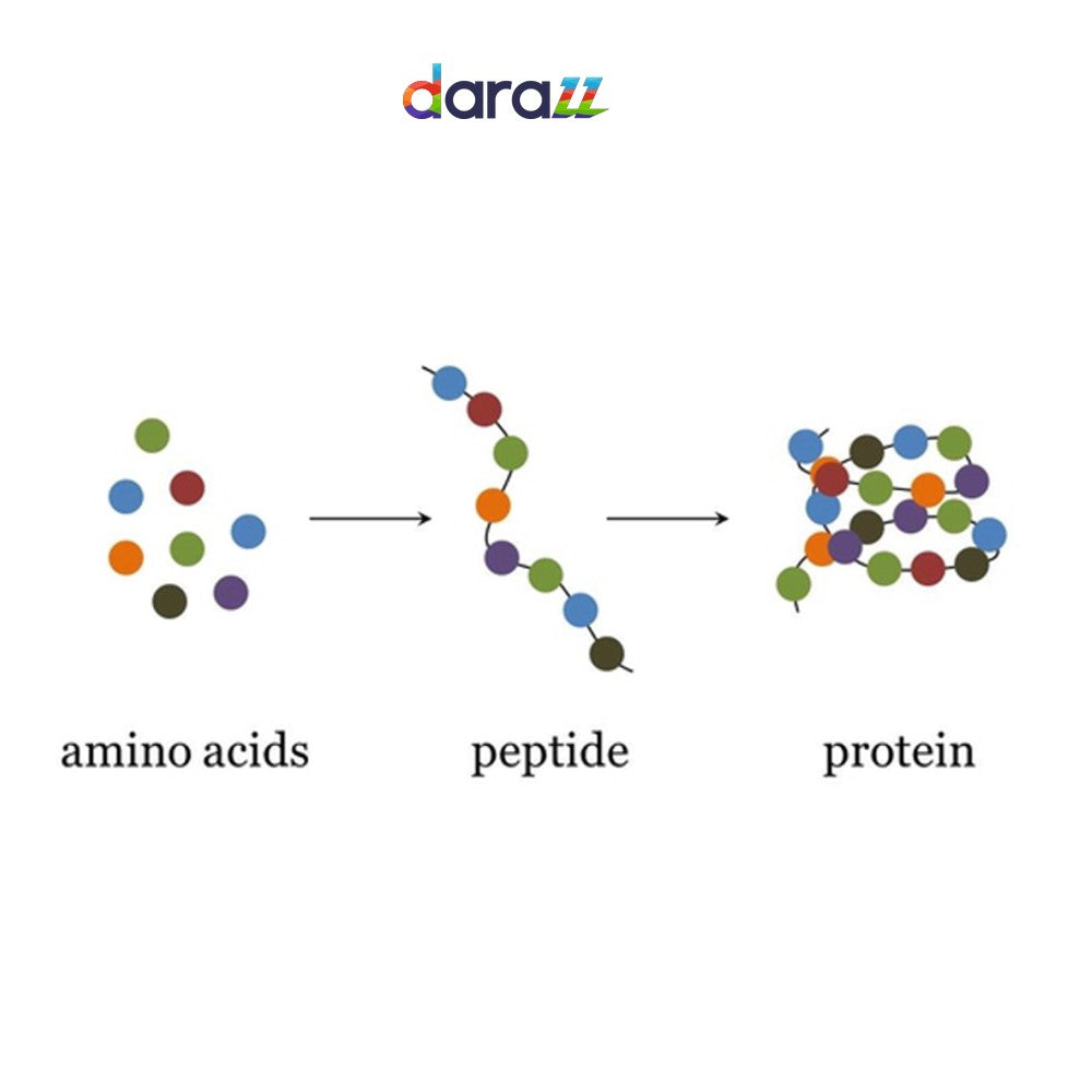 PEPTIDES