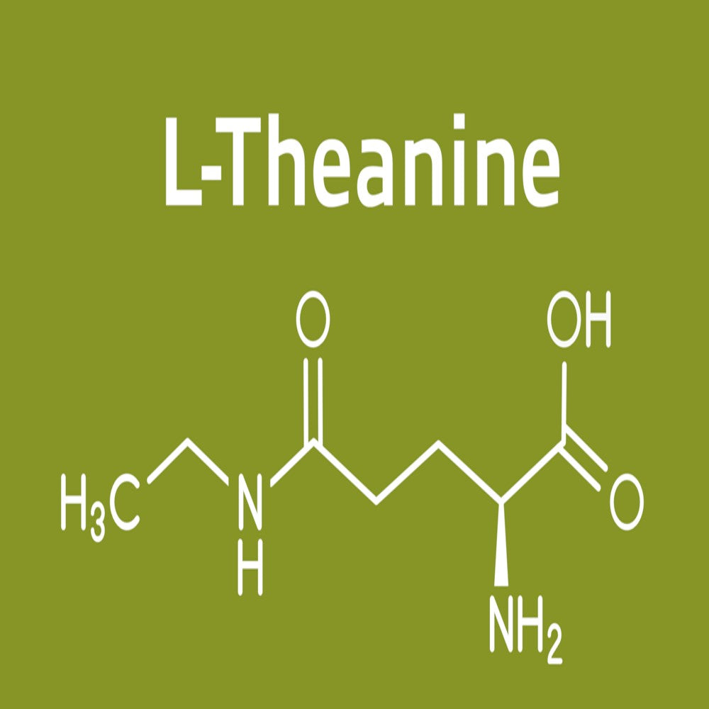 THEANINE