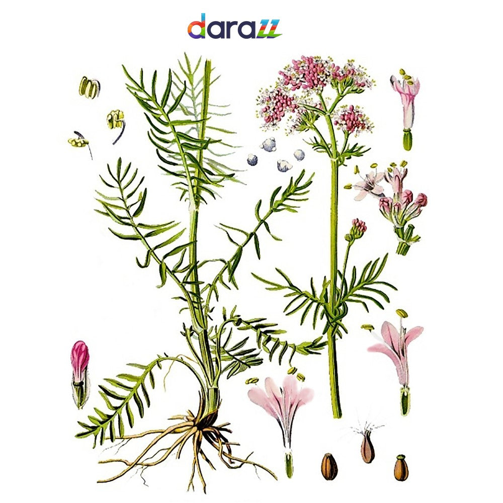 VALERIAN