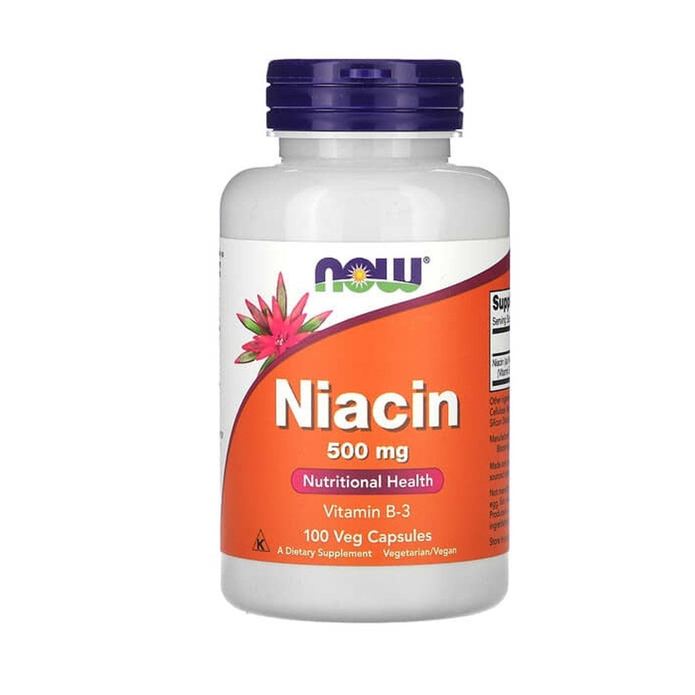 LIFE EXTENSION Vitamin B3 (Niacin) 500mg – Supports Cardiovascular Health | 100 Vegan Capsules