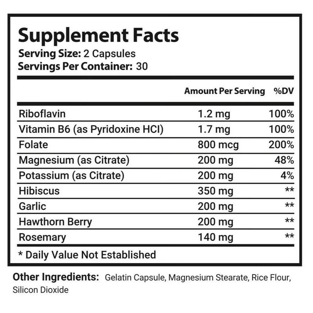 Noocube Brain Productivity