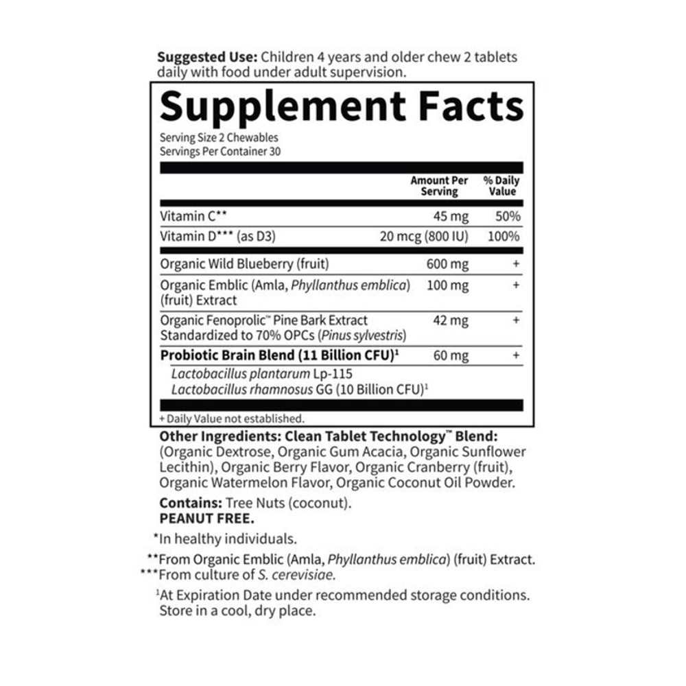 Garden of Life Dr. Formulated Attention & Focus for Kids Watermelon Berry 60 Chewables