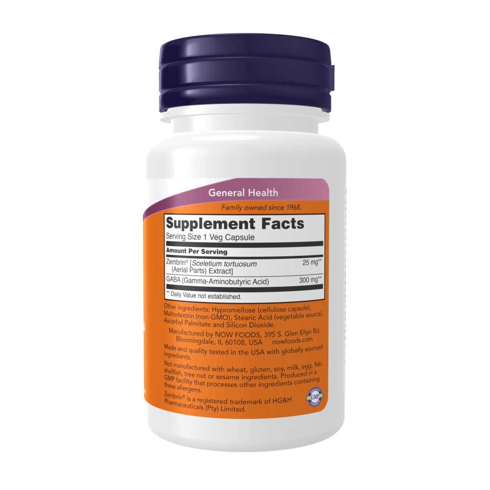 Now Foods Calm & Focus with Zembrin® & Gaba – 60 Veg Capsules