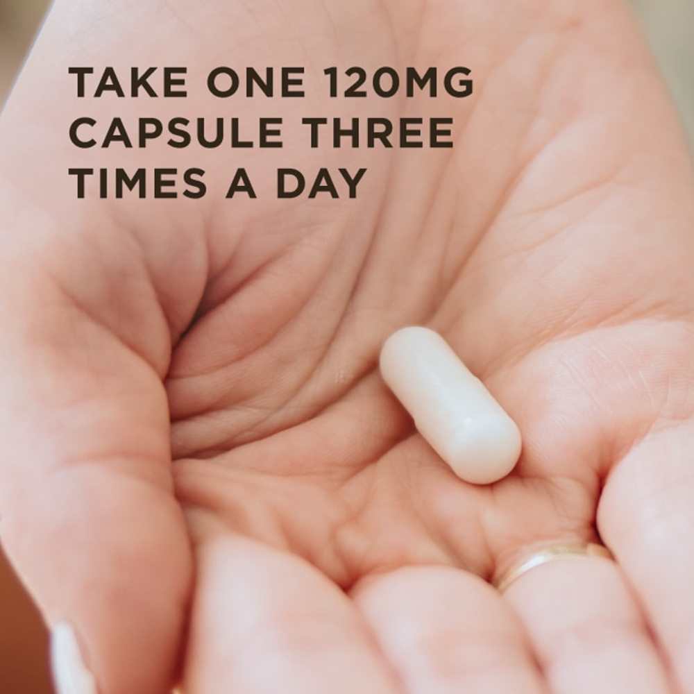 Solgar Magnesium Glycinate 90 Vegetable Capsules