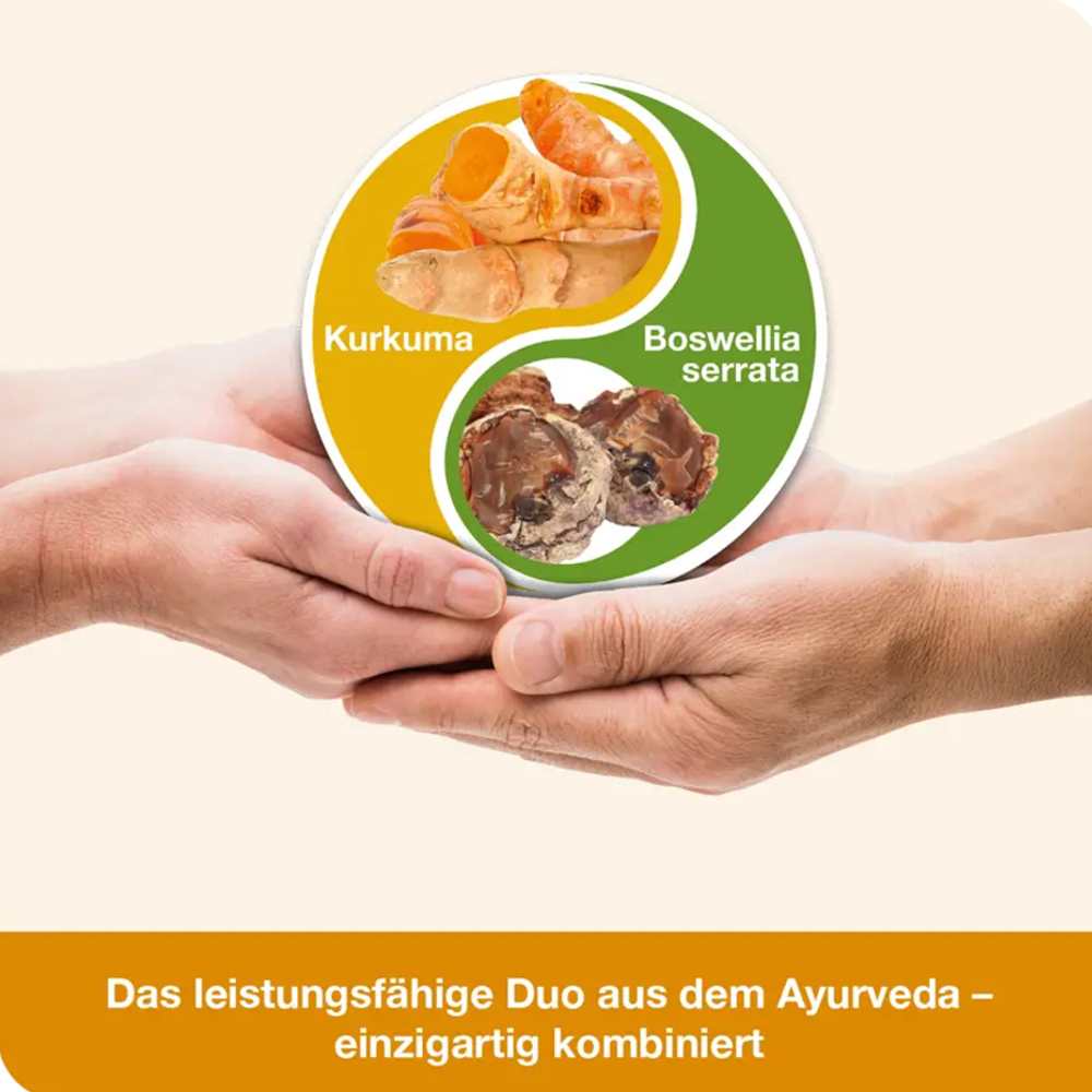 Bioavailable Curcumin + Boswellic Acids | 60 Capsules | Dr. Loges