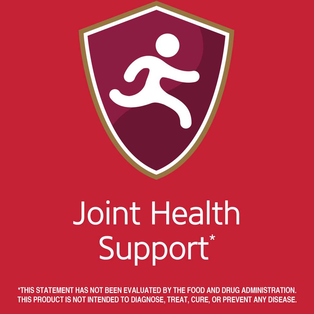 21st Century Glucosamine Chondroitin - Double Strength 210 Easy to Swallow Capsules