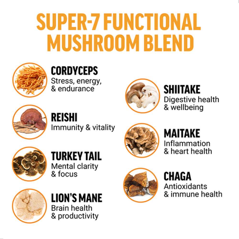 Force Factor Modern Mushrooms Unflavored Powder β 75g (30 Servings)