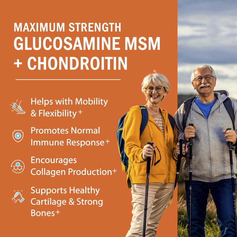 Bio Schwartz Maximum Mobility – Glucosamine Msm + Chondroitin with Turmeric Curcumin – 90 Capsules