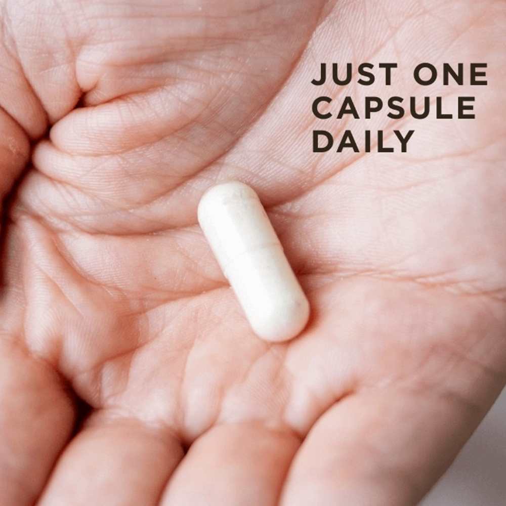 Solgar One Daily Men’s Multi 60 Capsules