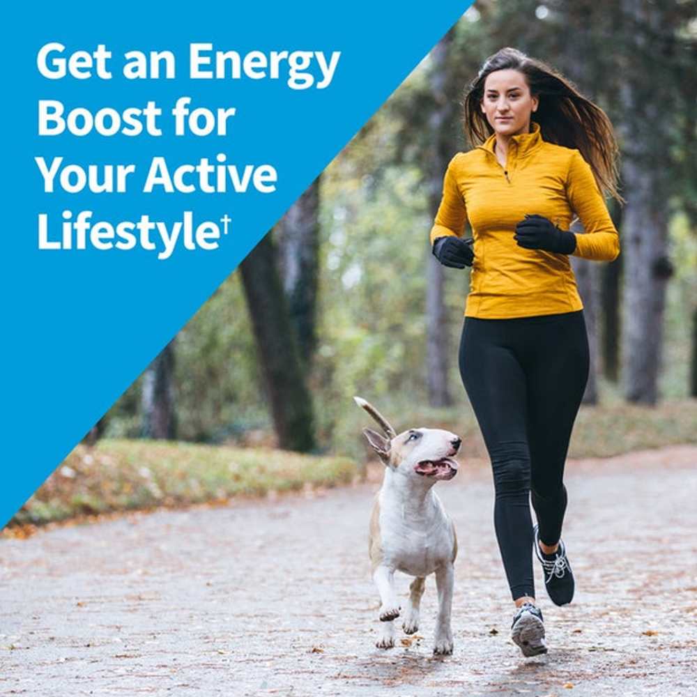 Garden of Life Vitamin Code Raw Kombucha 60 Capsules