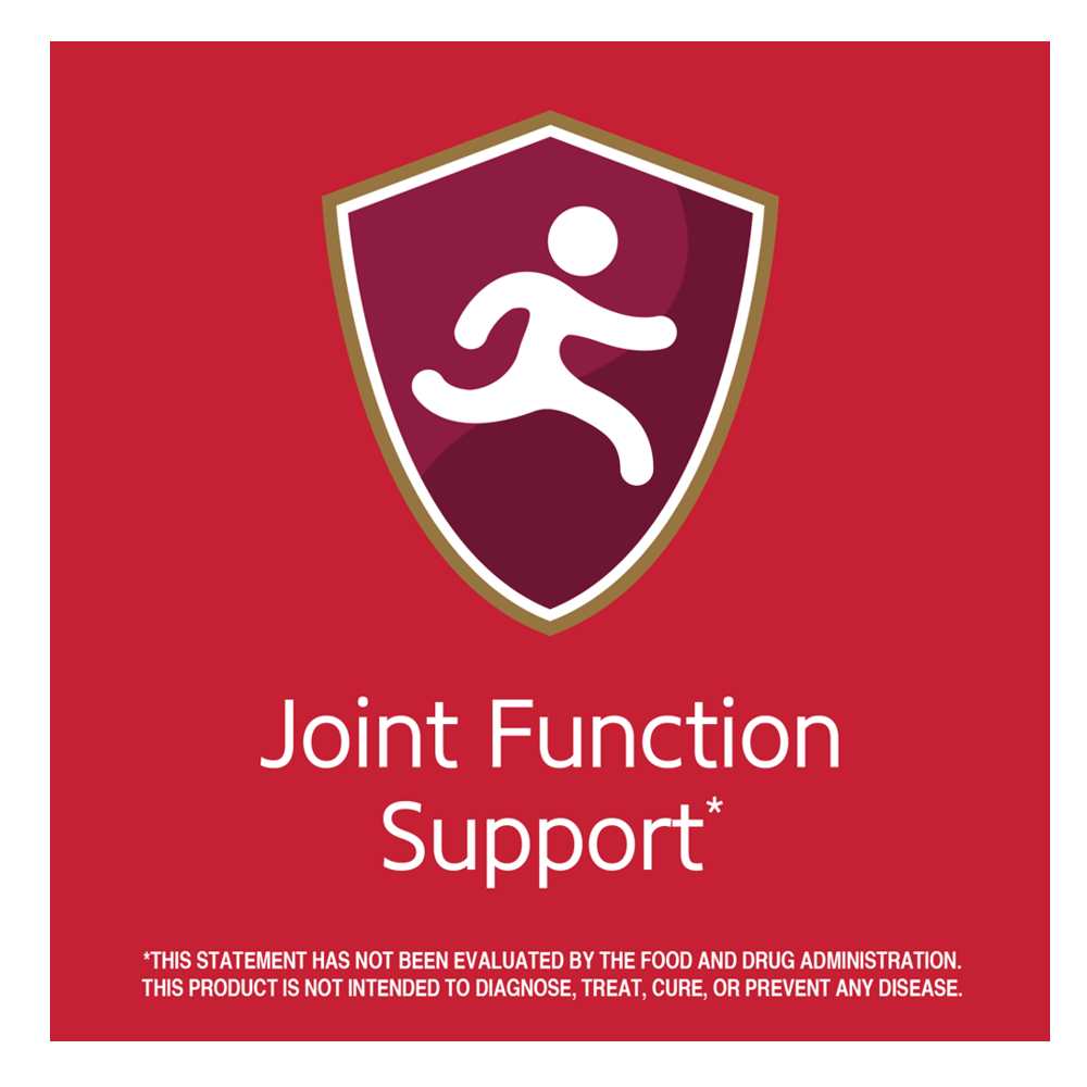 21st Century MSM 1000 mg 90 Tabs