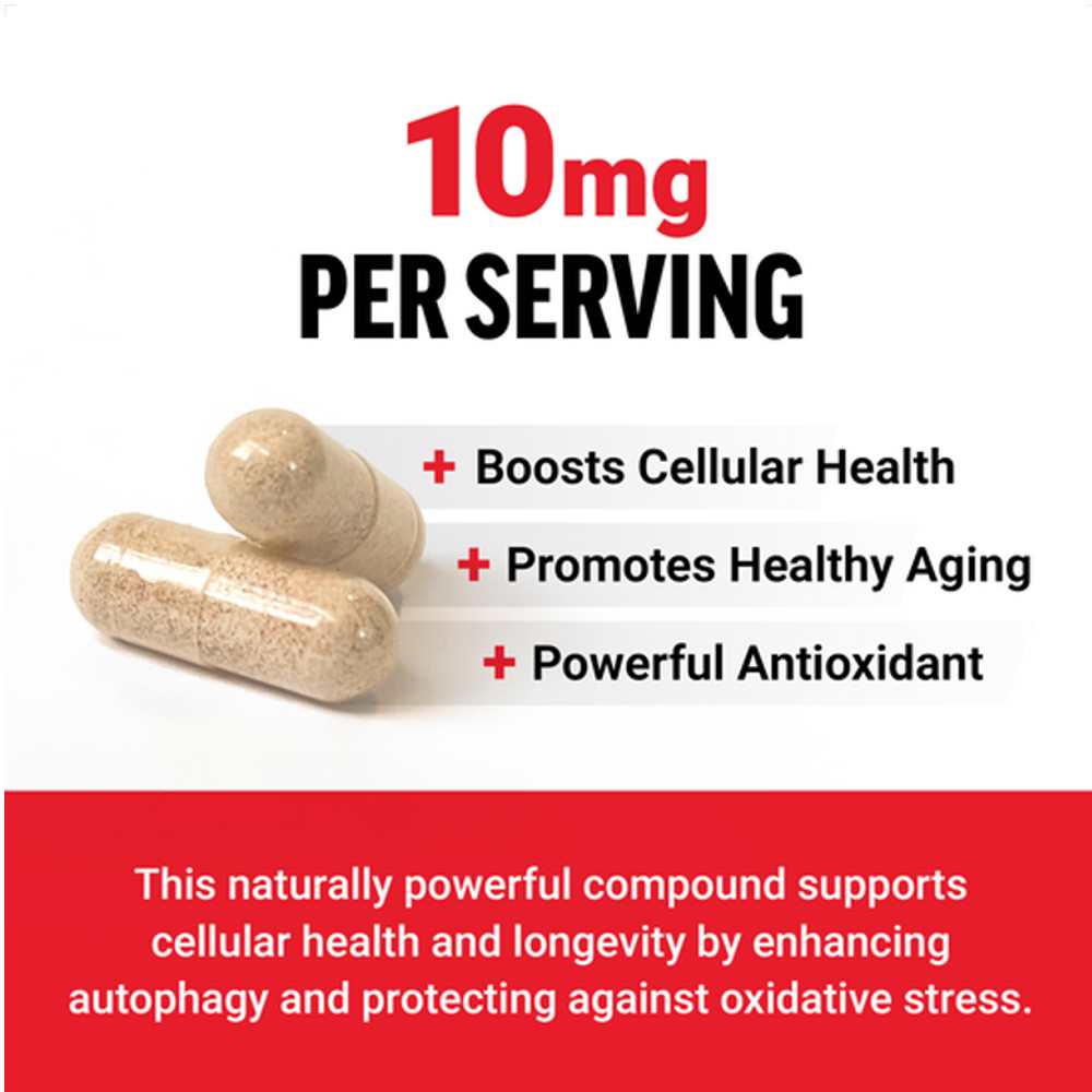 Force Factor Spermidine – 60 Capsule