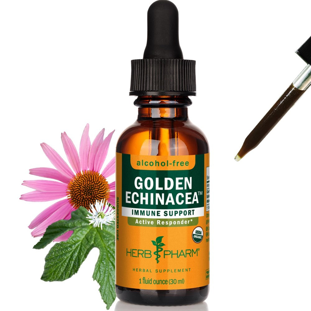 Herb Pharm Golden Echinacea – Alcohol-Free Immune Support | Herbal Supplement (30ml)