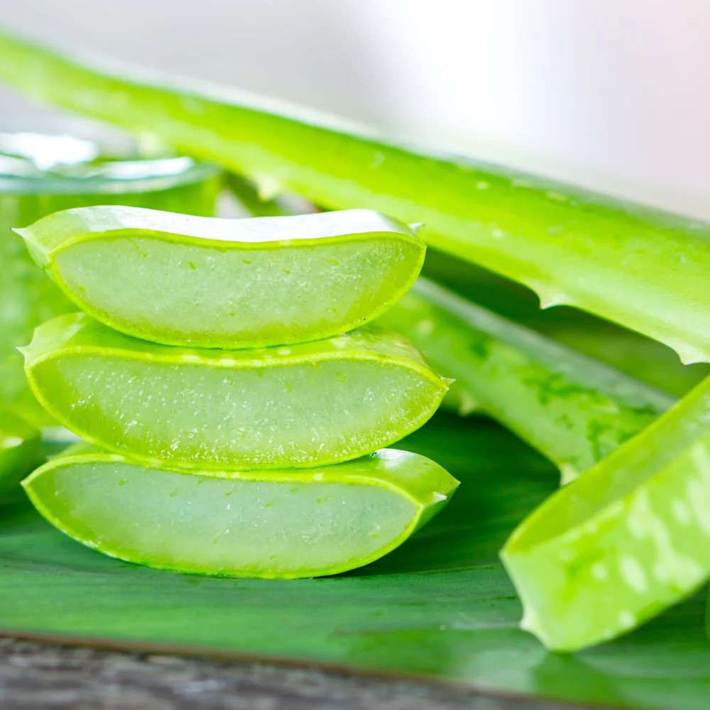 ALOE VERA GEL