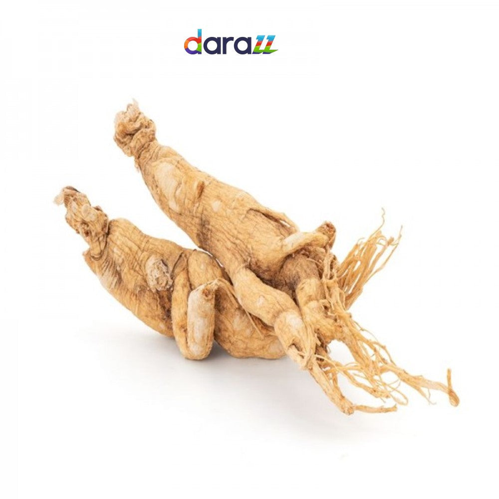 AMERICAN GINSENG