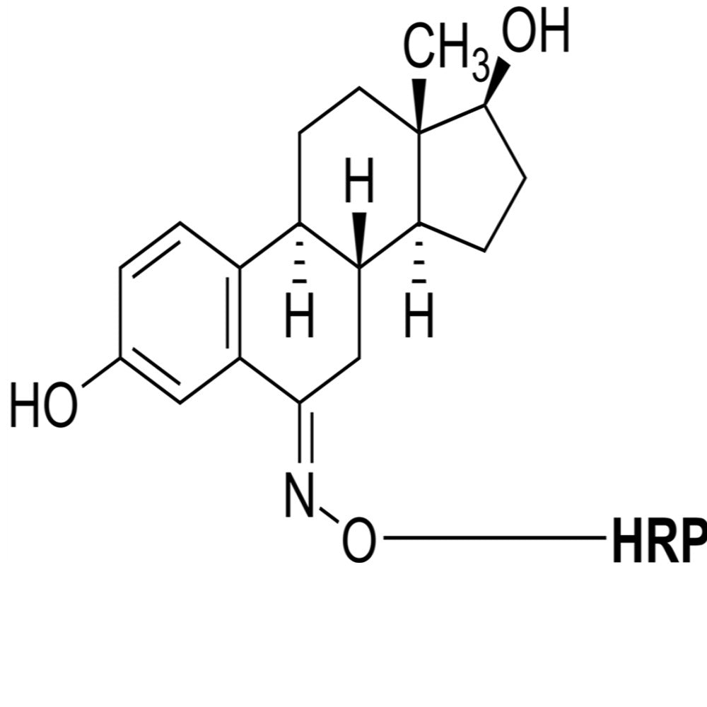 CONJUGATED ESTROGEN
