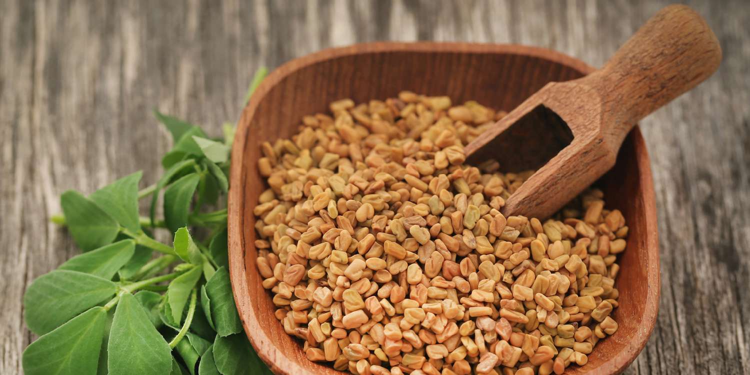 FENUGREEK