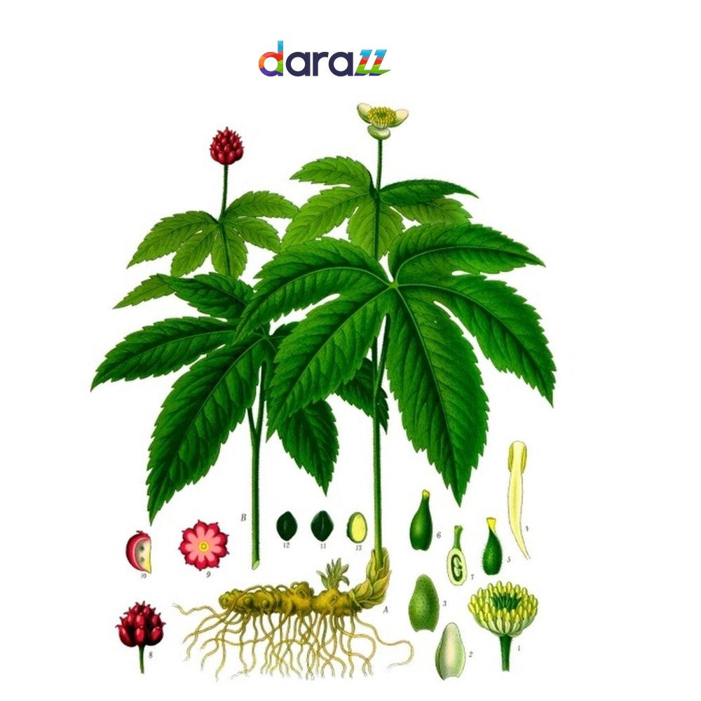GOLDENSEAL ROOT