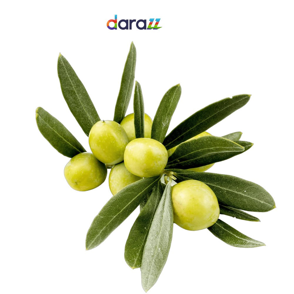 OLIVE LEAF EXTRACT