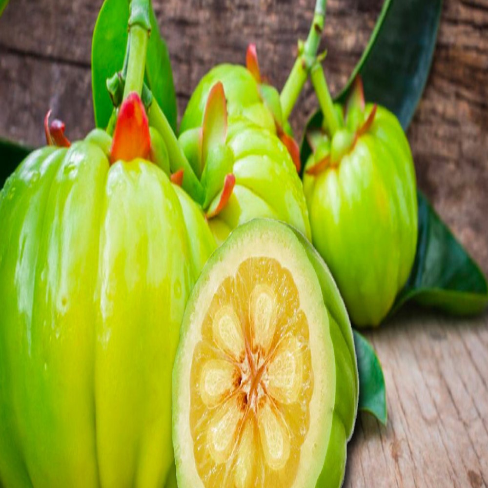 GARCINIA CAMBOGIA