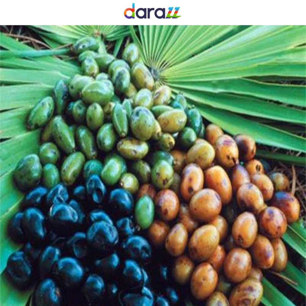 SAW PALMETTO