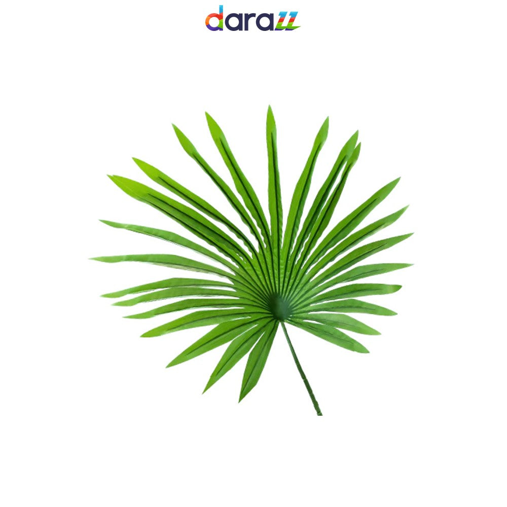SAW PALMETTO SUPPLEMENT