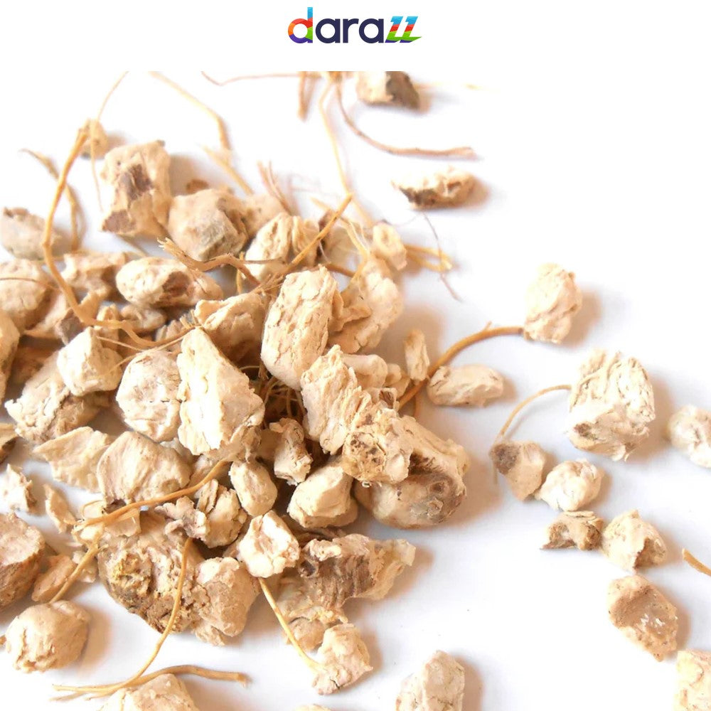 WILD YAM ROOT