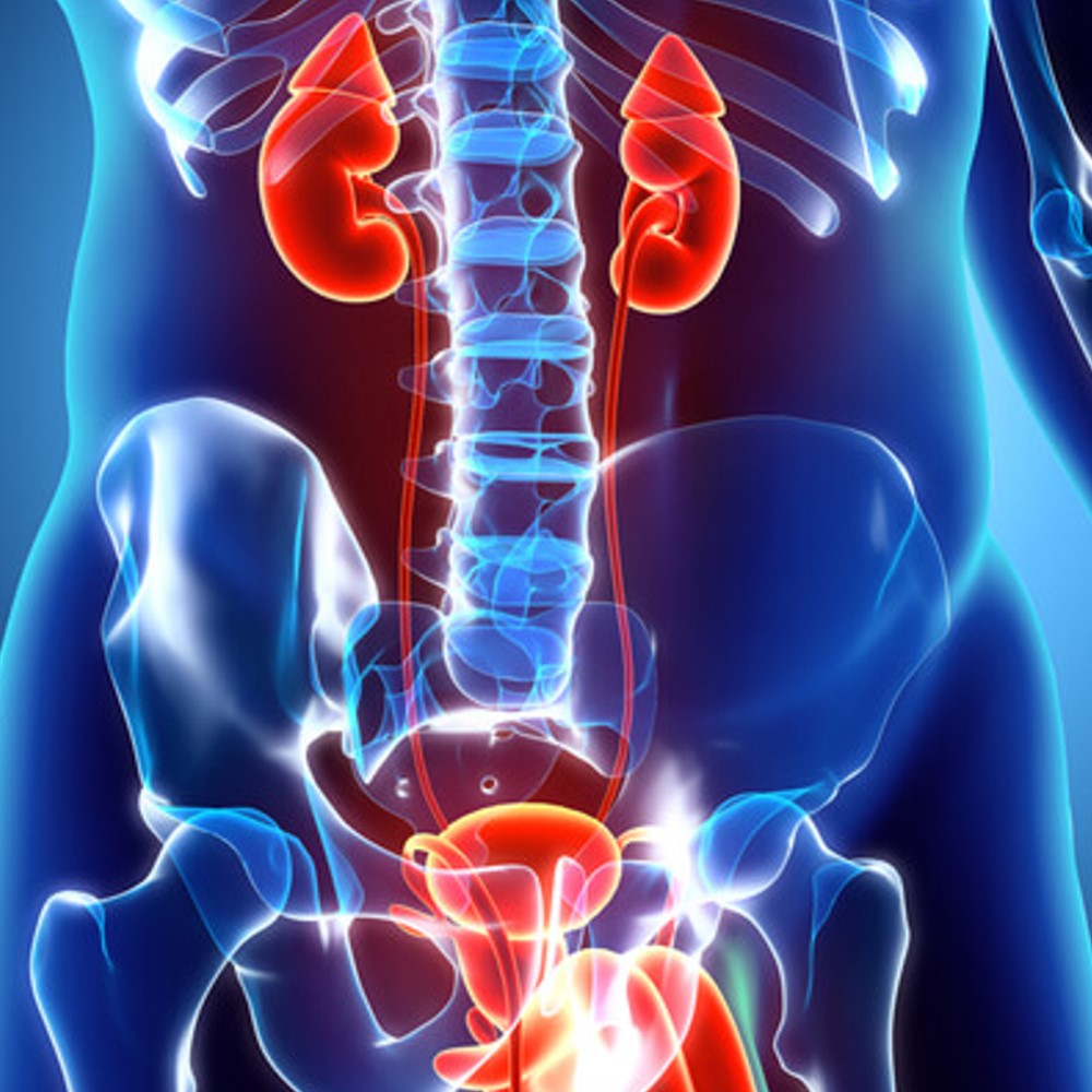 Prostate Health