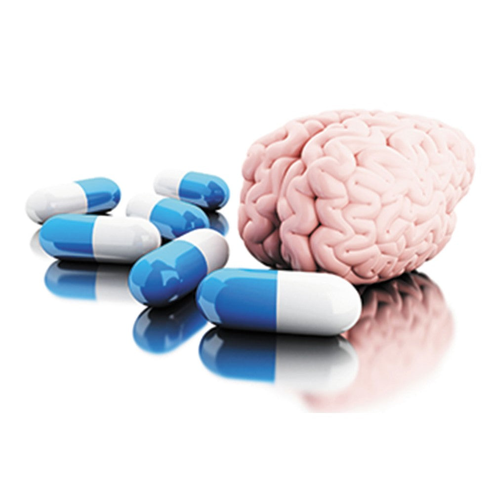 Brain & Memory Support
