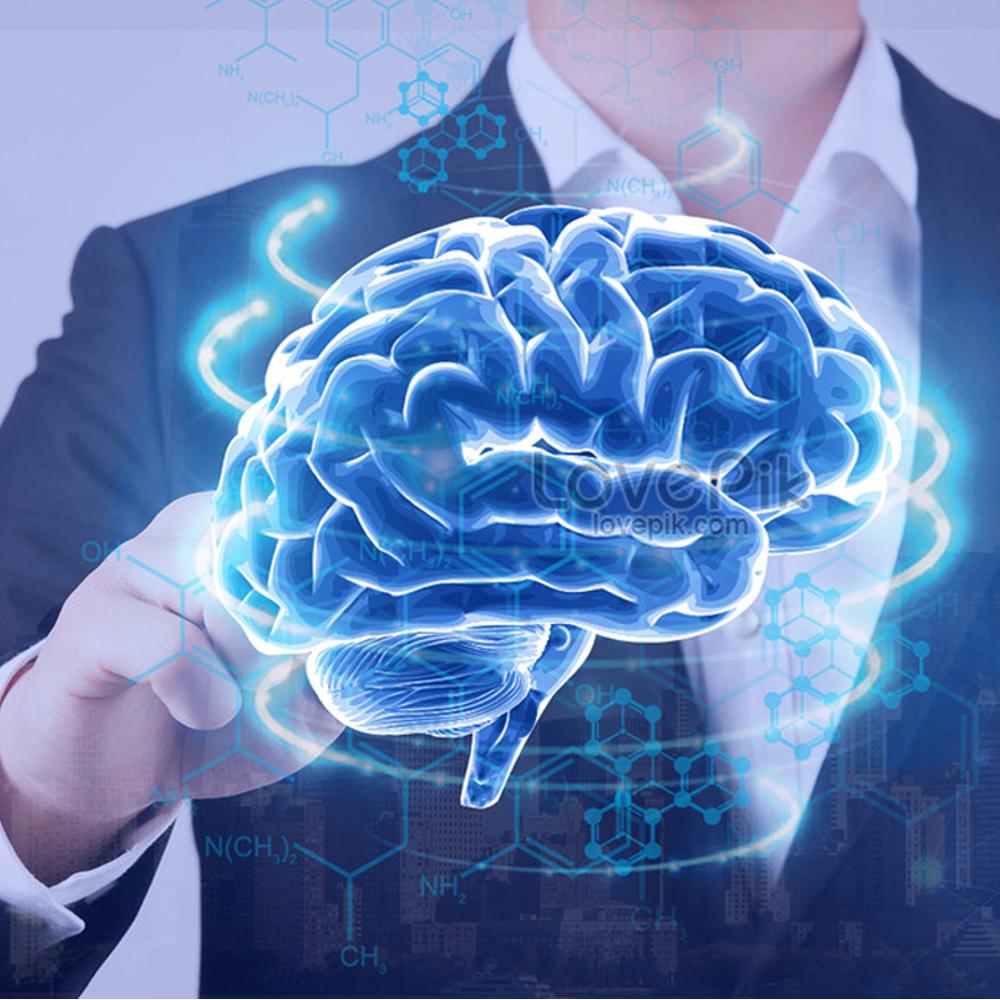 BRAIN PRODUCTIVITY