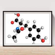ACETYL L-CARNITINE