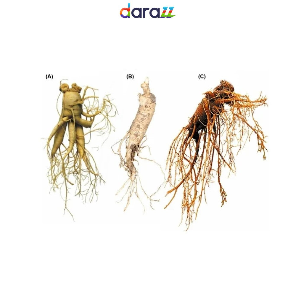 KOREAN RED GINSENG
