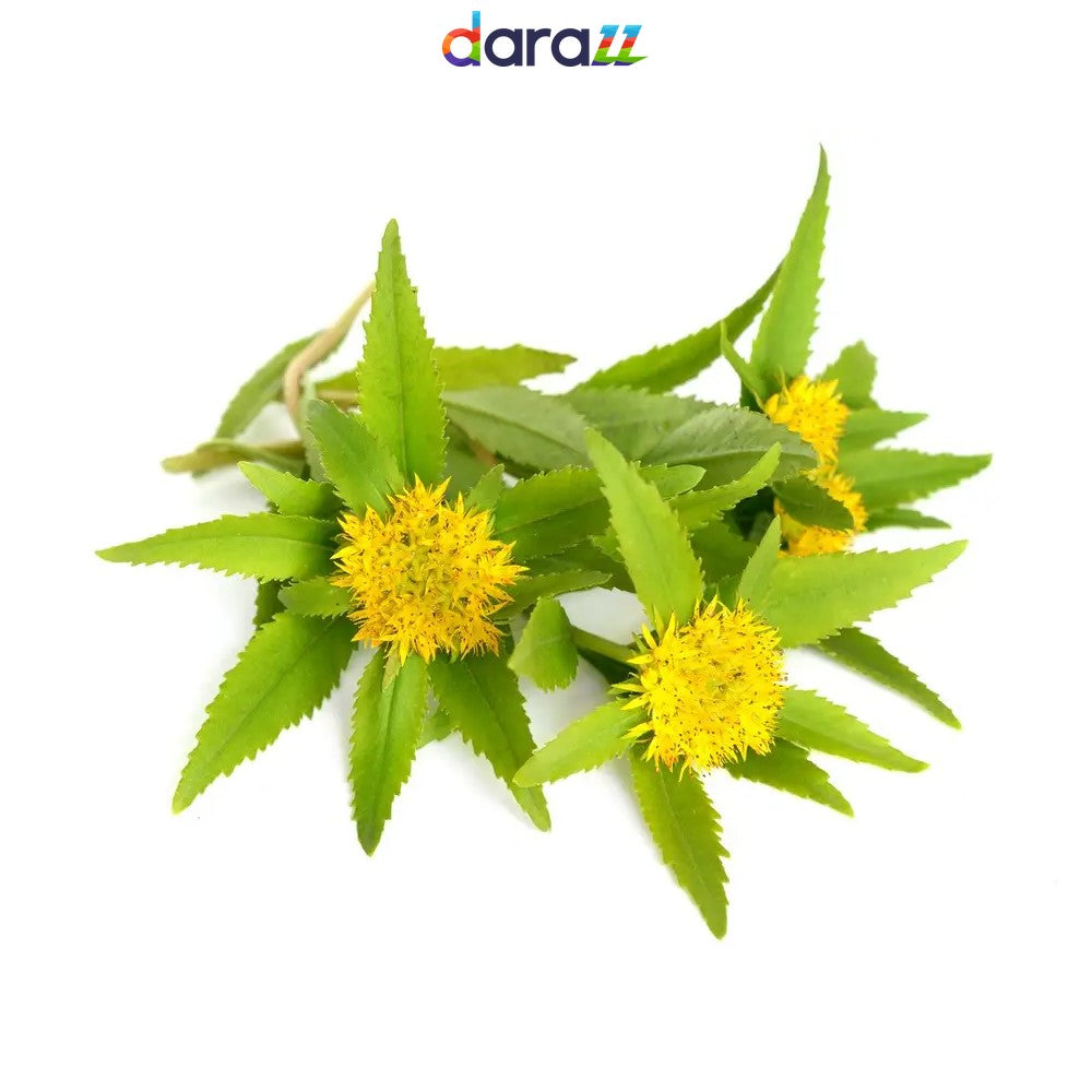 RHODIOLA