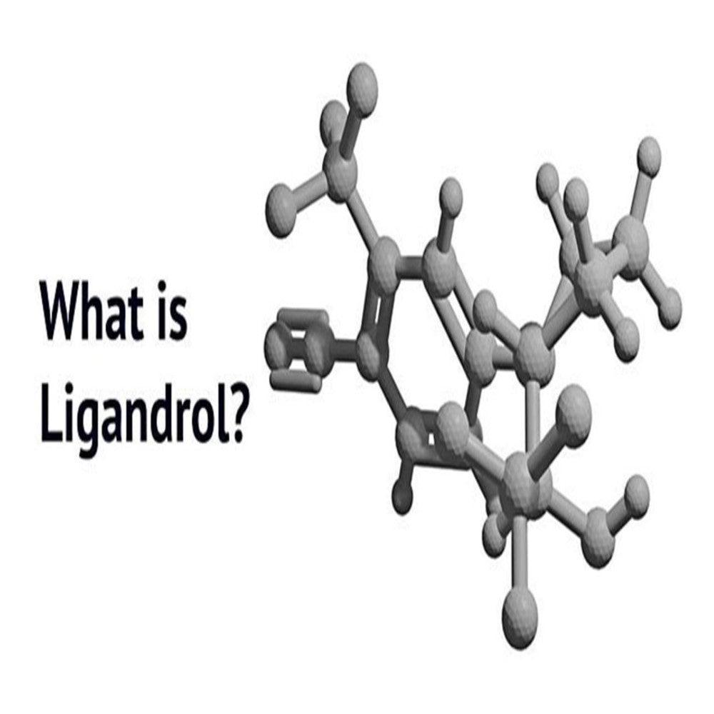 LIGANDROL (LGD-4033)
