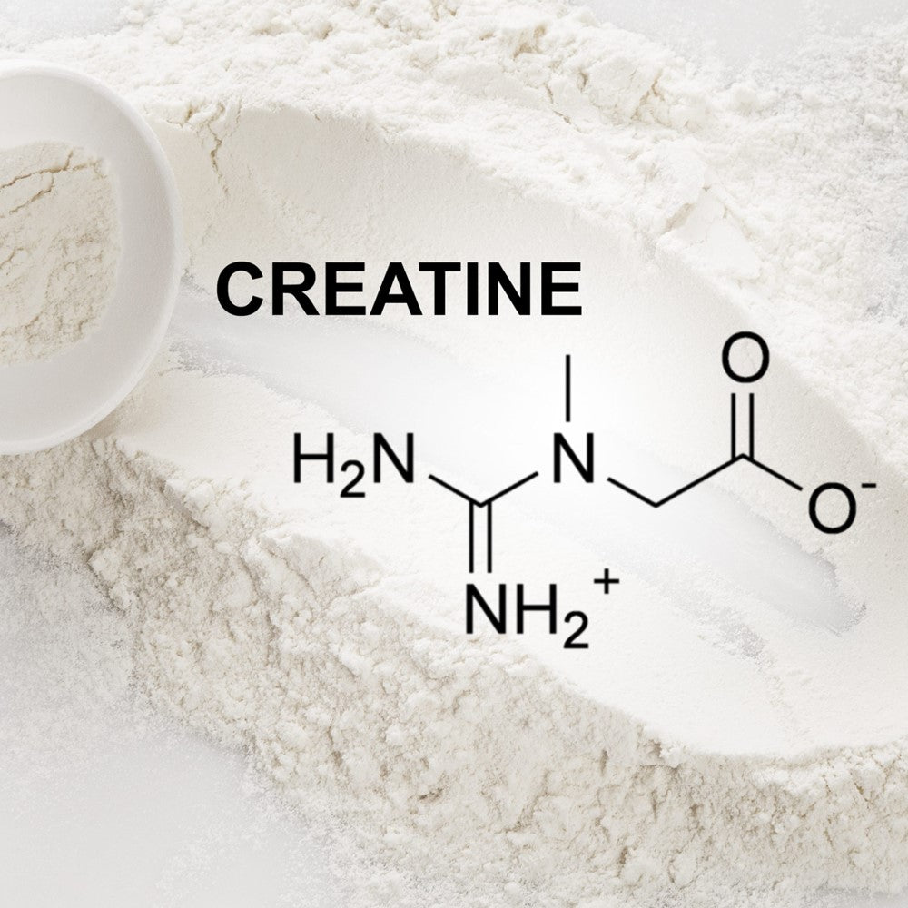 Best Creatine Monohydrate Hcl Tablets Supplements for Men & Women Available in Pakistan