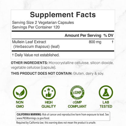 Deal Supplement Mullein Leaf 20,000mg Herbal Equivalent, 240 Veggie Capsules