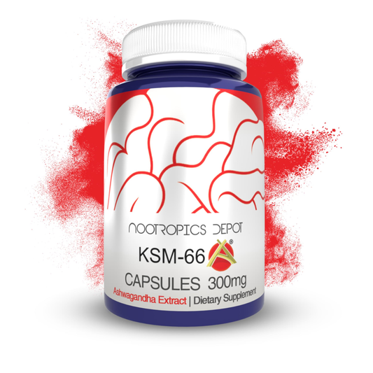 Nootropics Depot KSM-66 Ashwagandha – 300mg Capsules | Premium Adaptogen Supplement