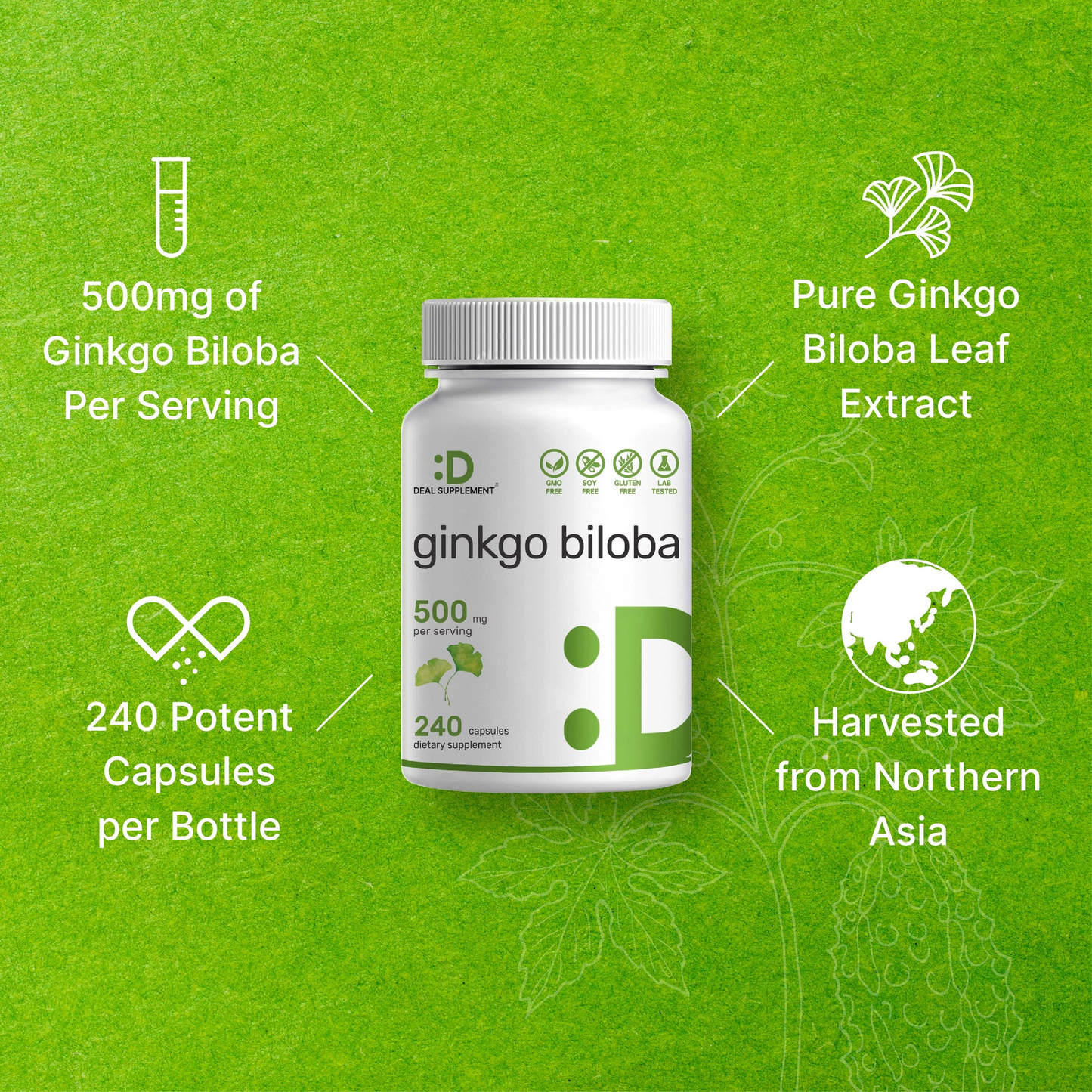 Deal Supplement Ginkgo Biloba 500mg Per Serving, 240 Capsules