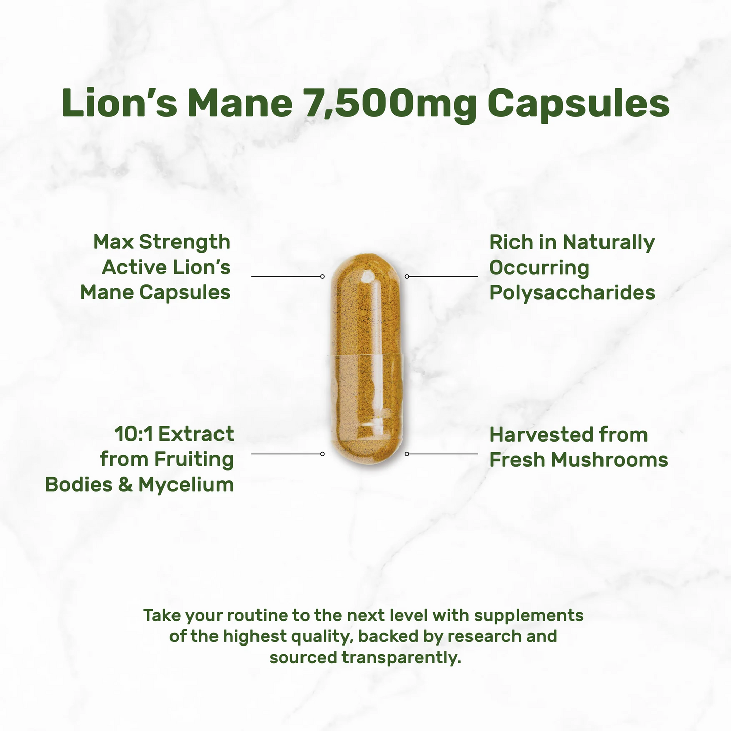 Deal Supplement Lion's Mane Mushroom 240 Capsules