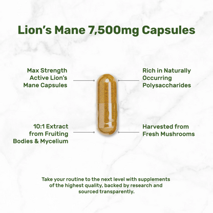 Deal Supplement Lion's Mane Mushroom 240 Capsules