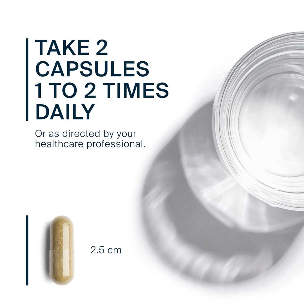 Vital Nutrients Echinacea Extract 1000mg 60 Caps