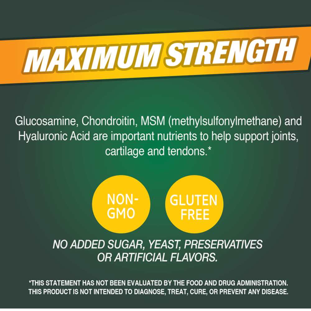 21st Century Glucosamine & Chondroitin Plus Hyaluronic Acid Plus Msm 120 Tabs
