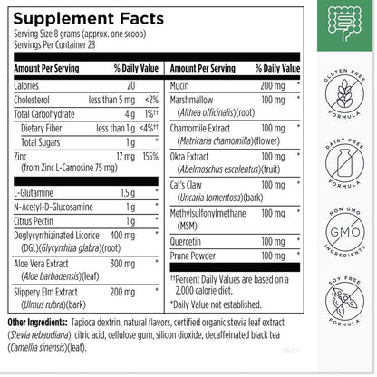 Designs for Health Gi Revive  – Peach Flavored Powder 225g