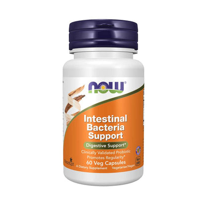 Now Foods Intestinal Bacteria Support – Clinically Validated Probiotic for Digestive Health & Regularity – 60 Veg Capsules