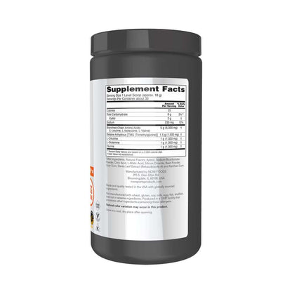 Now Sports Bcaa Big 6 Powder – Watermelon Flavor – Intra-Workout Endurance & Recovery Formula – 600g