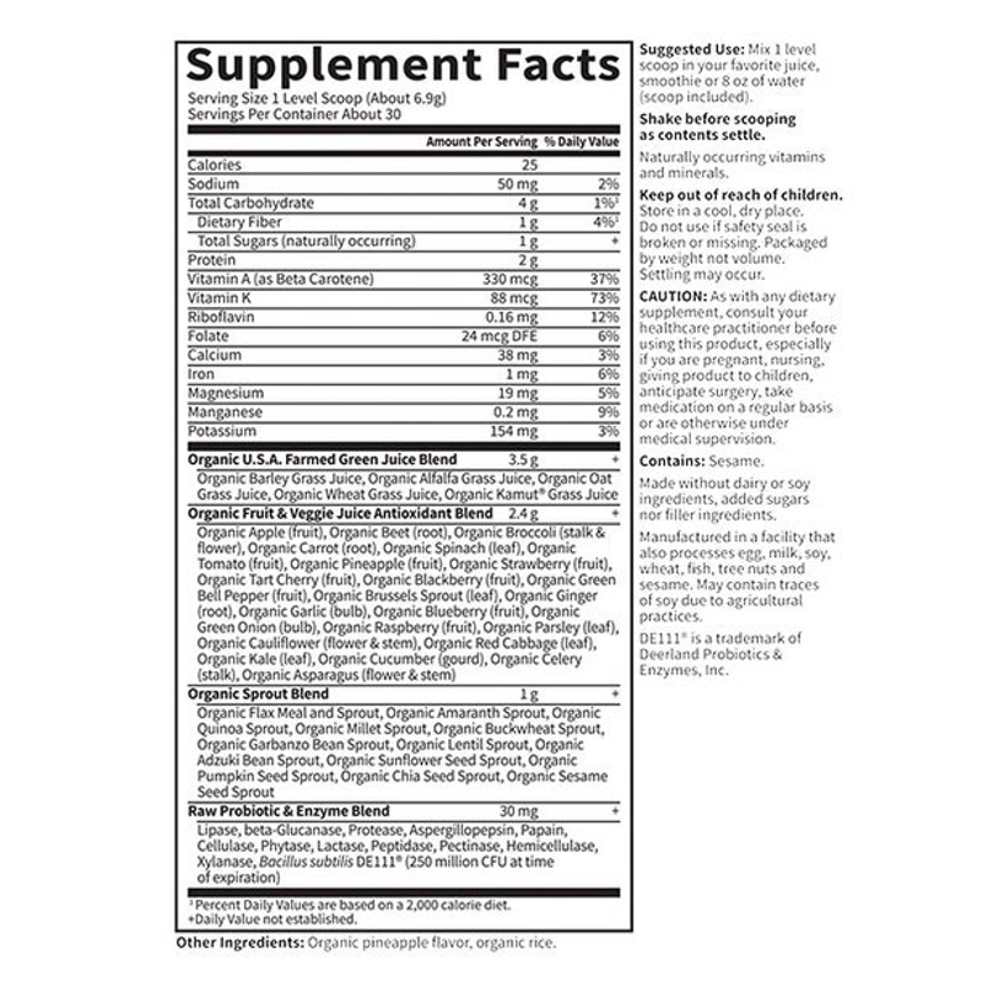 Garden of Life Raw Organic Perfect Food Green Superfood Original Powder 207g